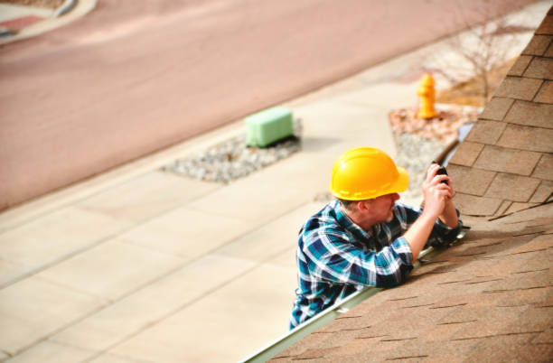 Best Roof Insulation Installation  in Ortonville, MI